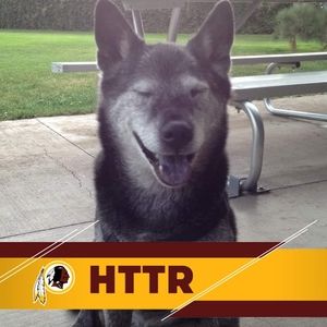 Meet your Posher, Steven